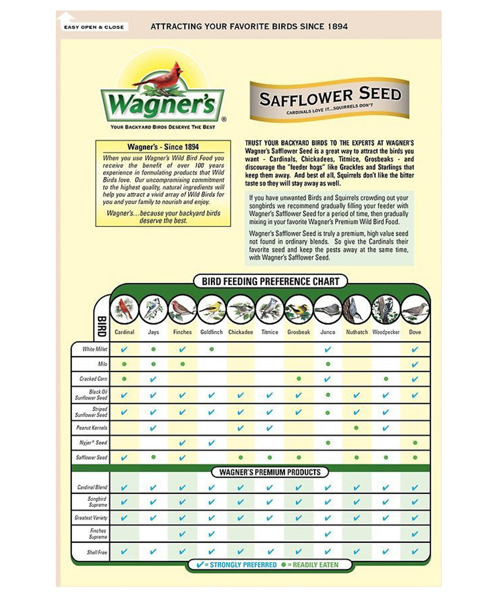 Nyjer Seed - Image 3