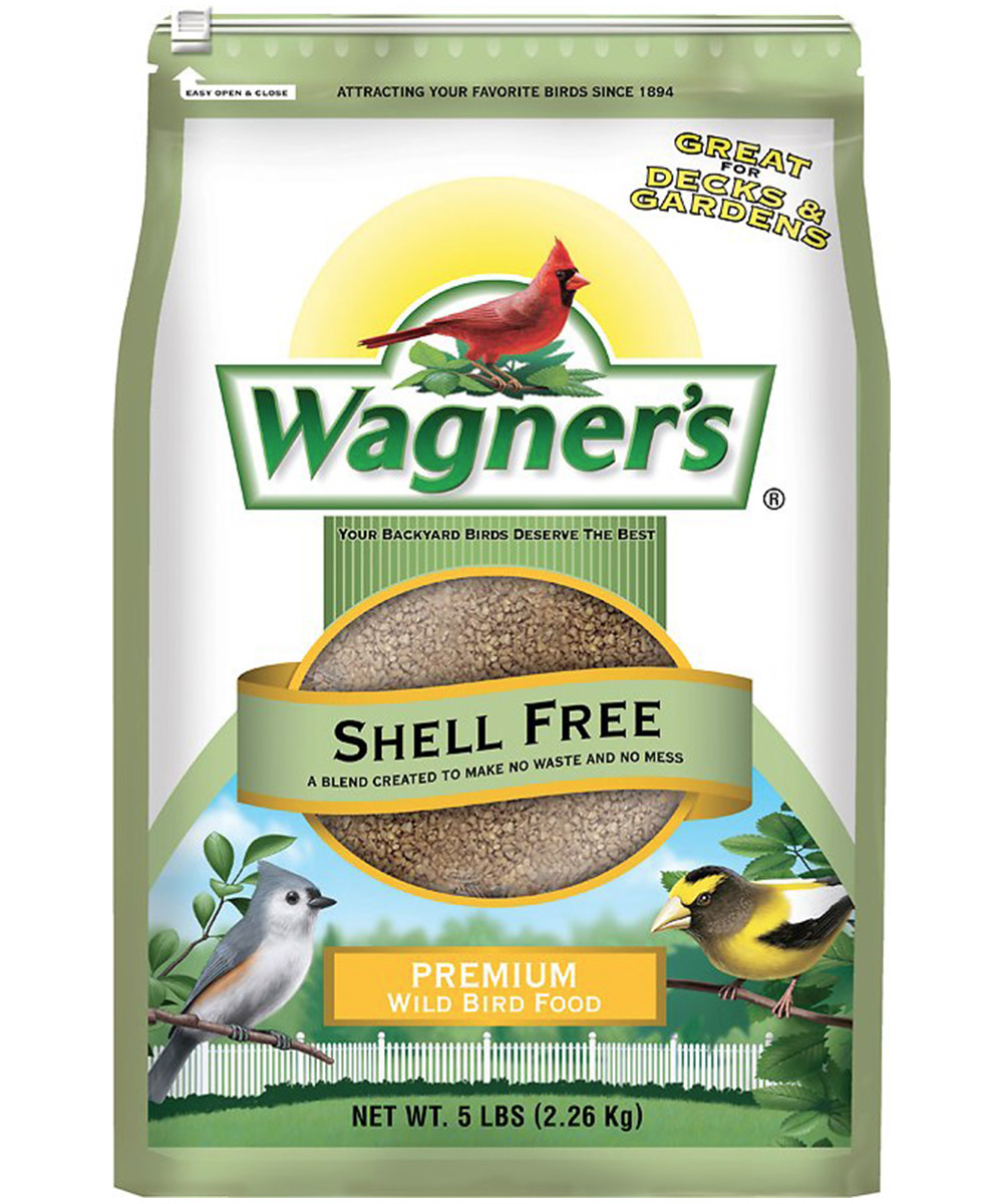 Nyjer Seed - Image 2