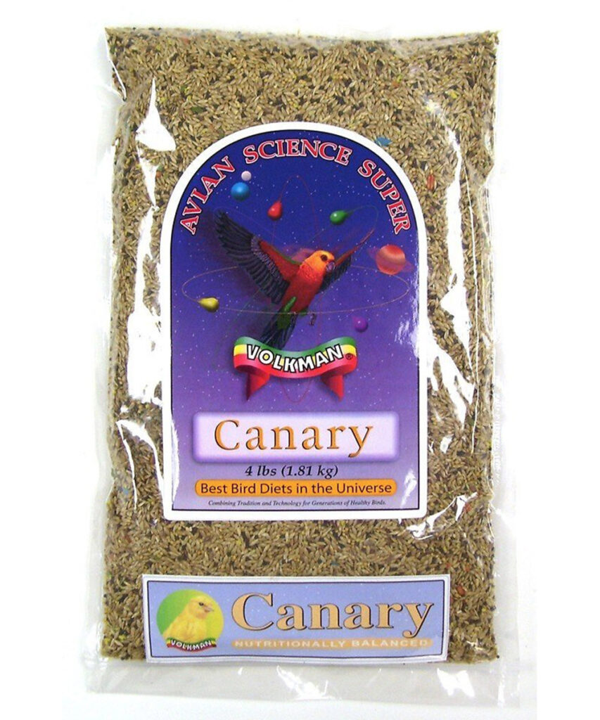 Canary