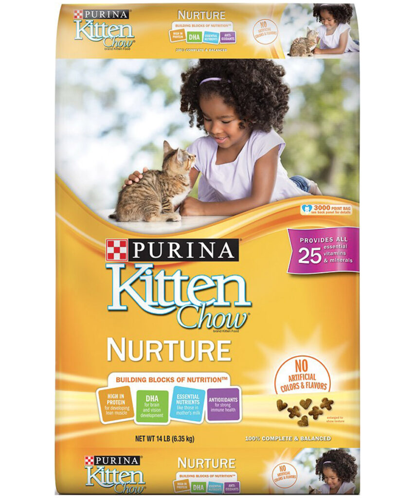 kitten