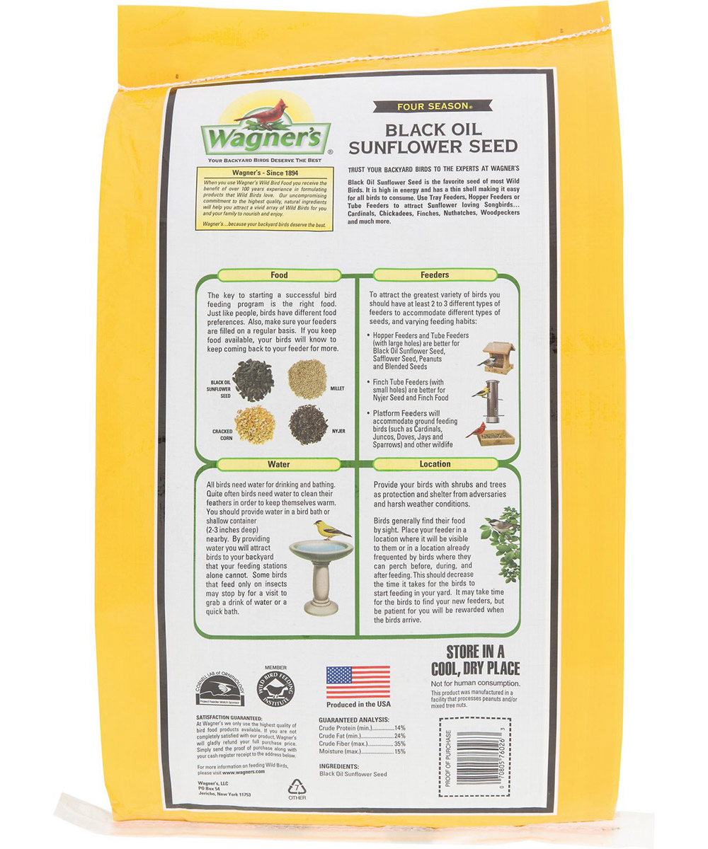 Four Season Sunflower - Image 2